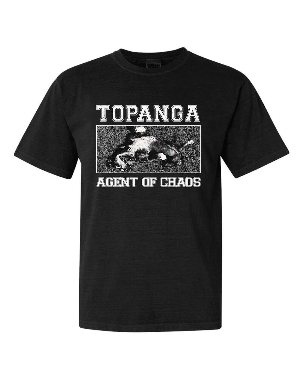 A black short-sleeve crewneck t-shirt featuring a distressed white graphic print on the front with the text 'TOPANGA' and 'AGENT OF CHAOS' surrounding a sketch of a topanga.
